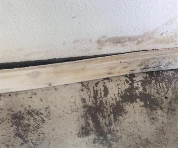 mold in the white walls with a baseboard sticking out