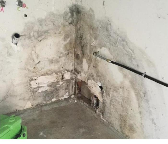 large mold spot on the right corner of the room