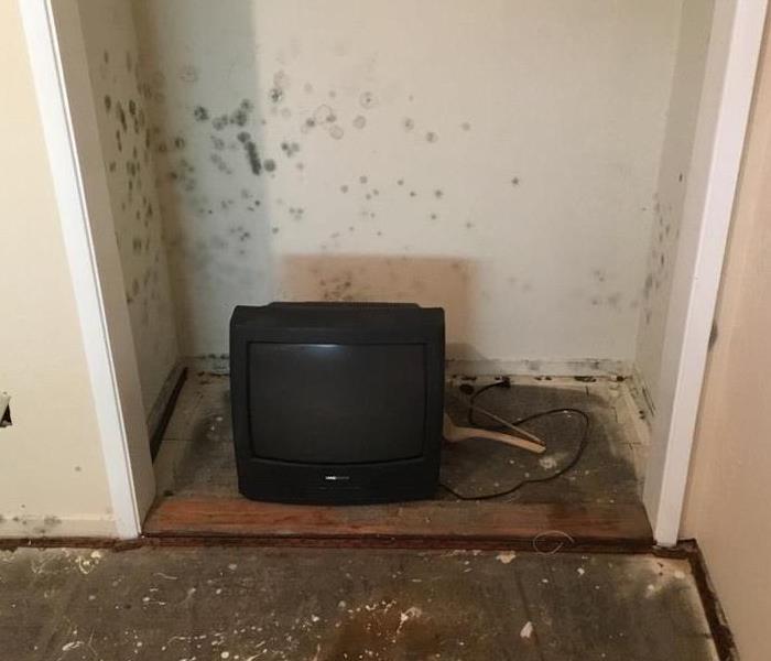 Black mold on the walls in a closet where a black tv is located on the floor